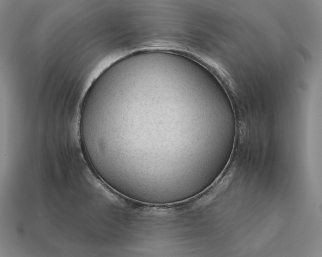 X0000113141374200909181721