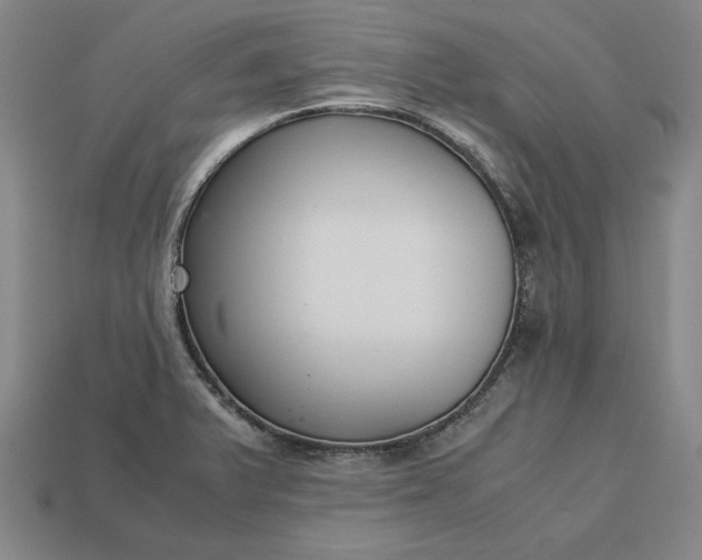 X0000113141375200909181721