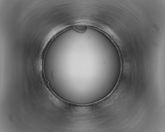 X0000113141376200909181721