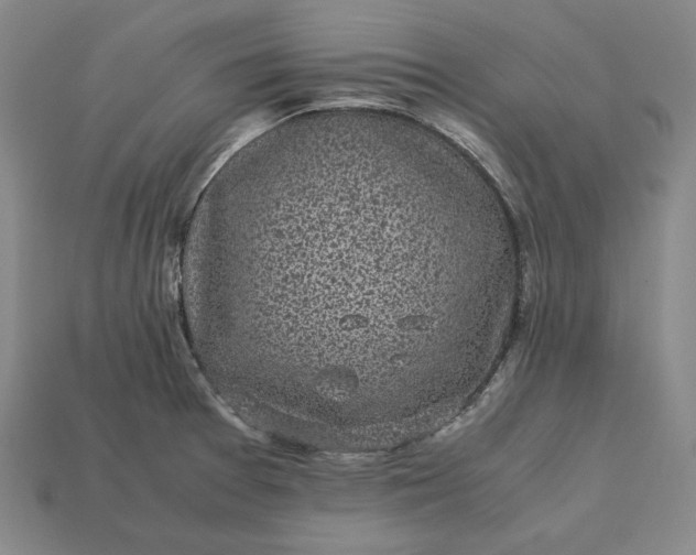 X0000113141377200909181721