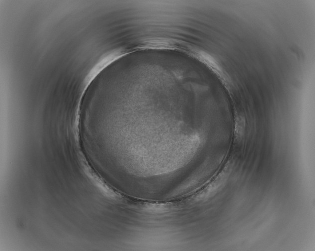 X0000113141378200909181721