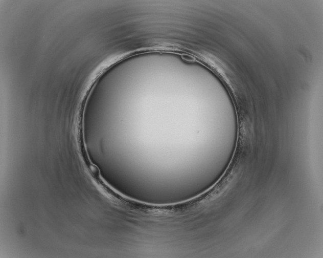 X0000113141379200909181720