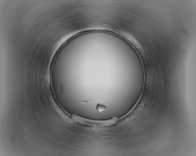 X0000113141380200909181720