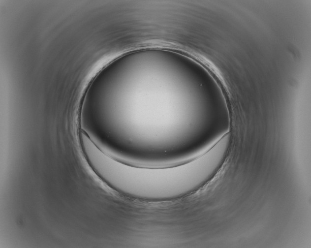 X0000113141381200909181720