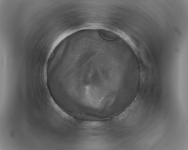 X0000113141382200909181720