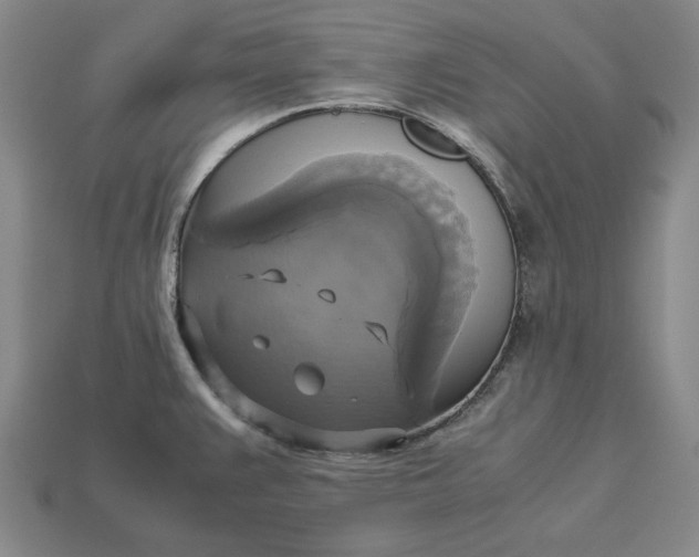 X0000113141383200909181720