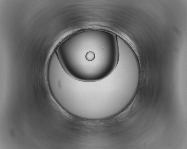 X0000113141384200909181720