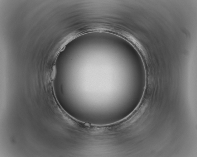 X0000113141385200909181720