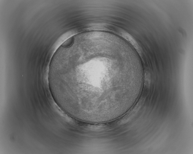 X0000113141386200909181720