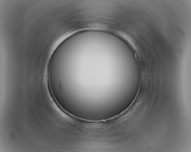 X0000113141387200909181720