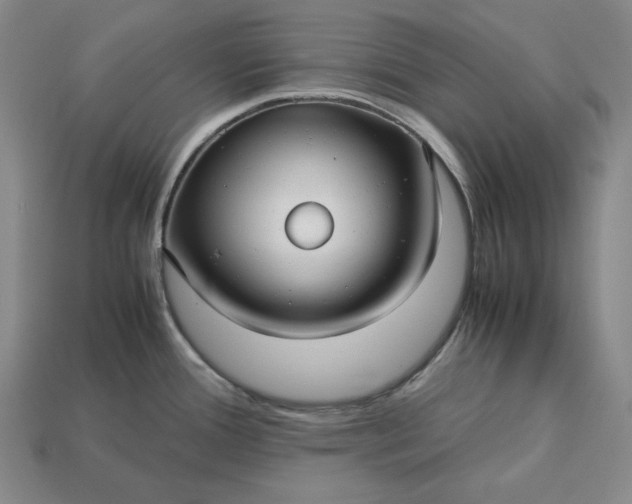 X0000113141388200909181720