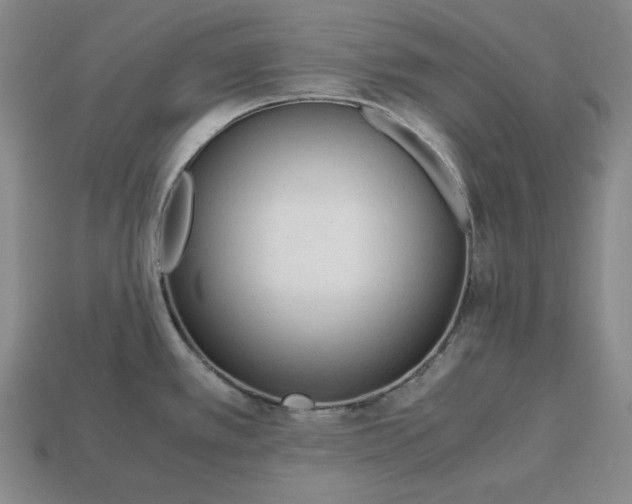 X0000113141389200909181720