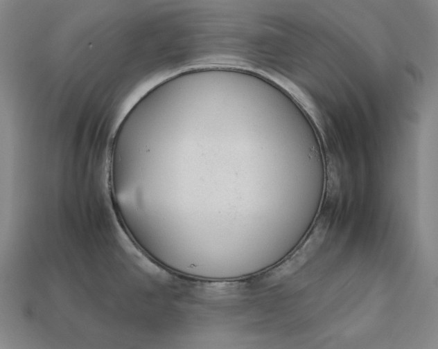 X0000113141390200909181720