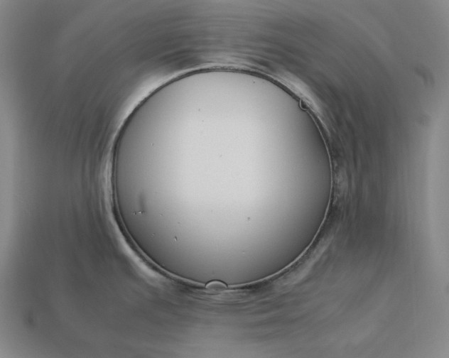 X0000113141391200909181720