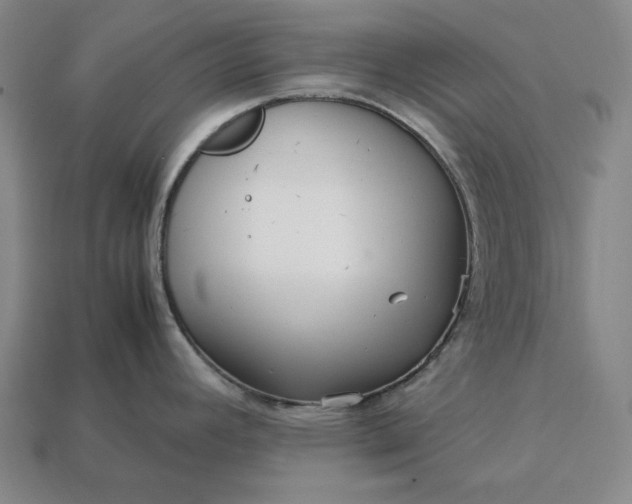 X0000113141392200909181720