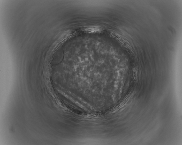 X0000113141393200909181720