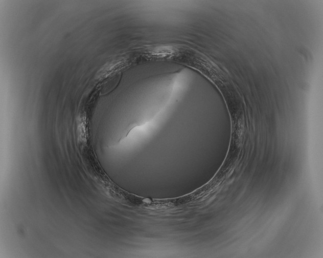 X0000113141394200909181720