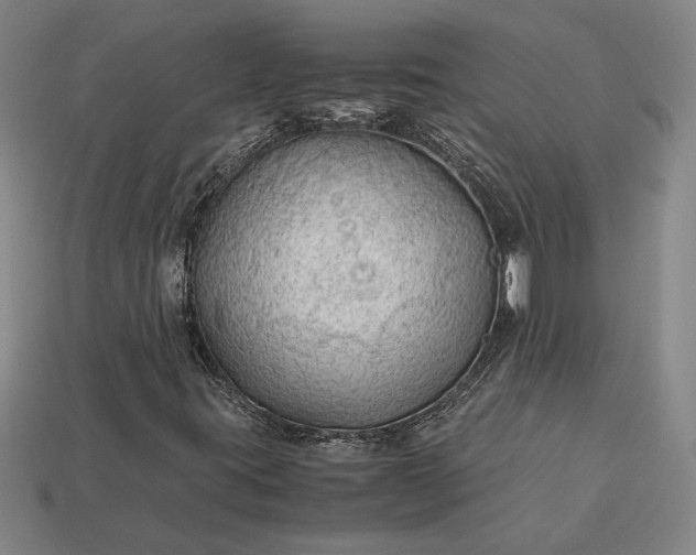 X0000113141395200909181720