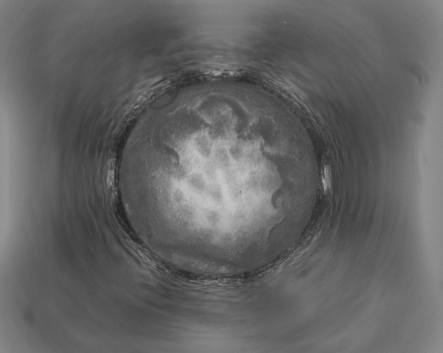 X0000113141396200909181720