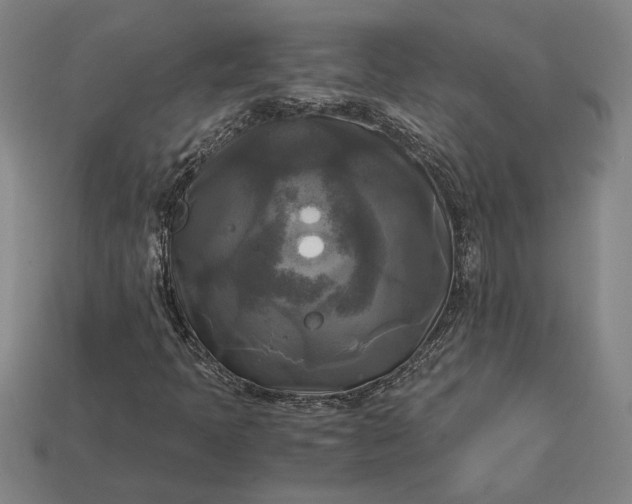 X0000113141397200909181720