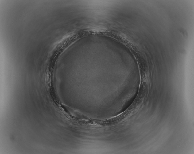 X0000113141398200909181720