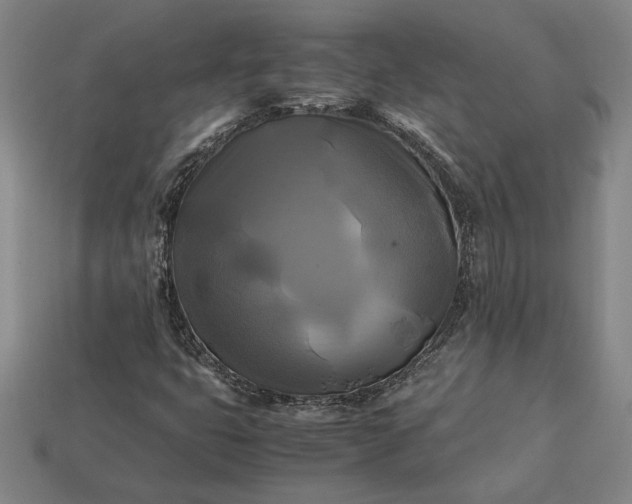 X0000113141399200909181720