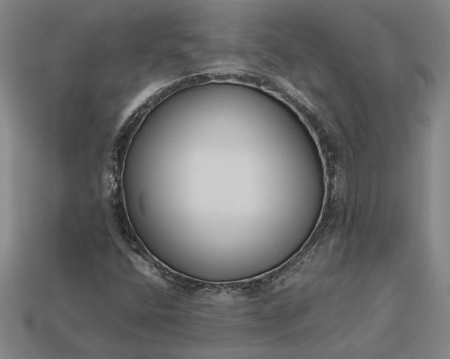 X0000113141400200909181720