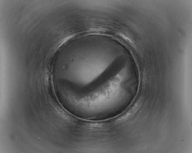 X0000113141401200909181720