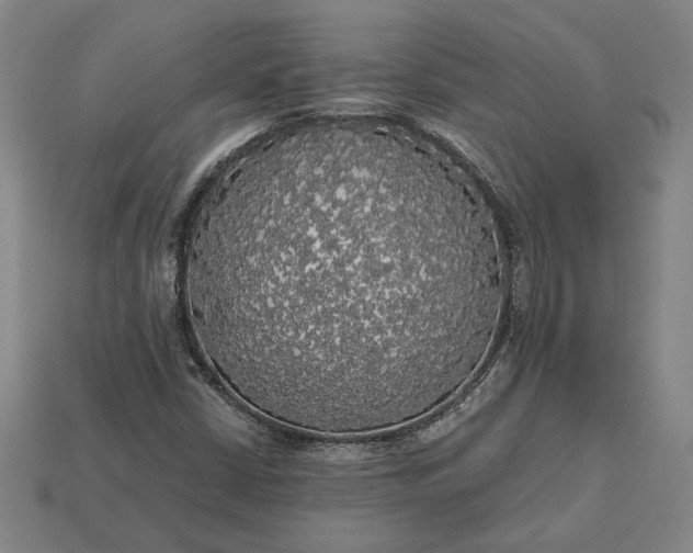 X0000113141402200909181720