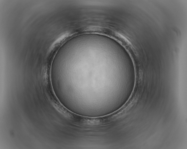 X0000113141403200909181720