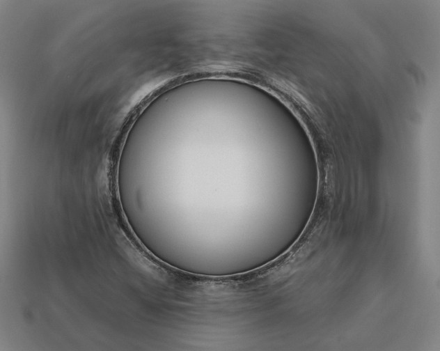 X0000113141404200909181720