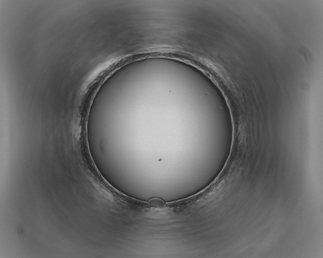 X0000113141406200909181720