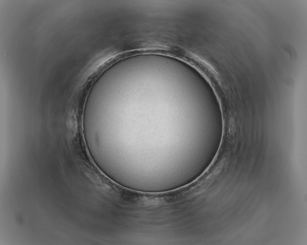 X0000113141407200909181720