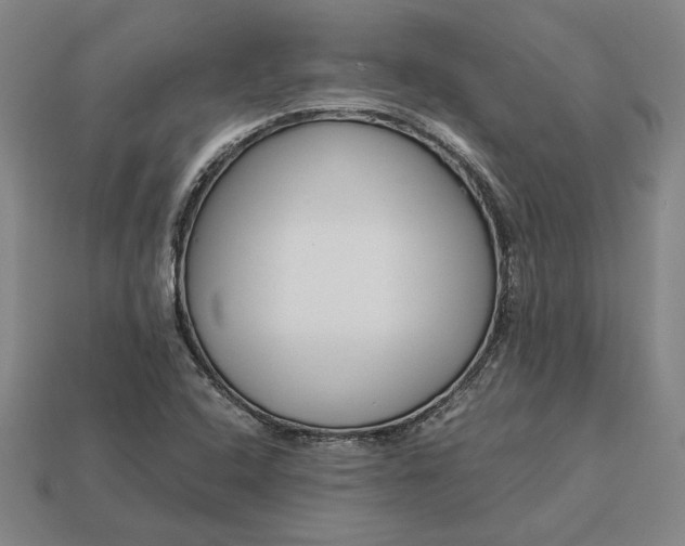 X0000113141408200909181720