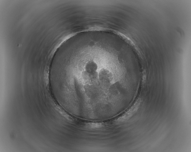 X0000113141409200909181720