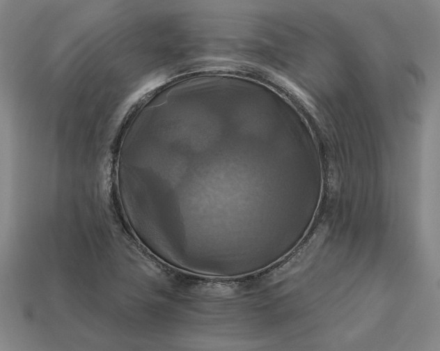 X0000113141411200909181720