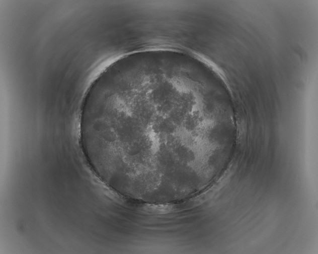 X0000113141415200909181720