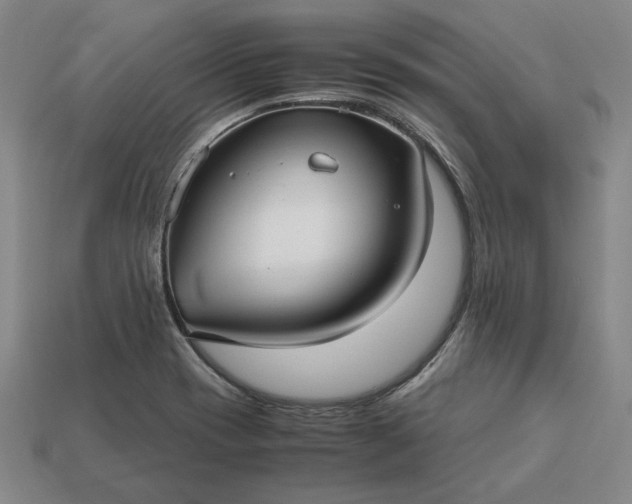 X0000113141417200909181720