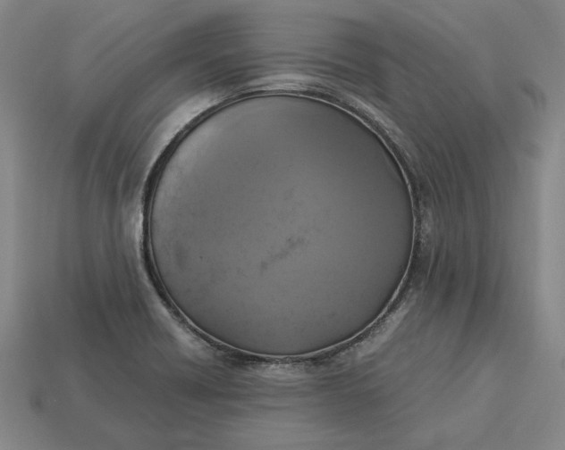 X0000113141418200909181720