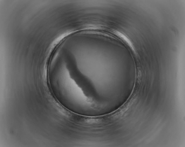 X0000113141419200909181720