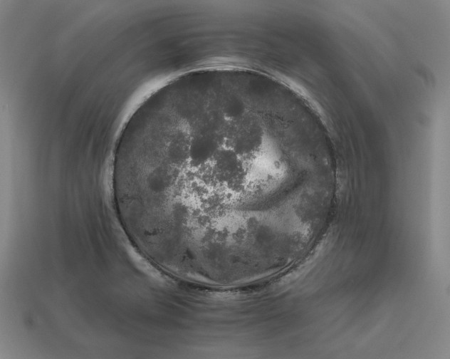 X0000113141421200909181720