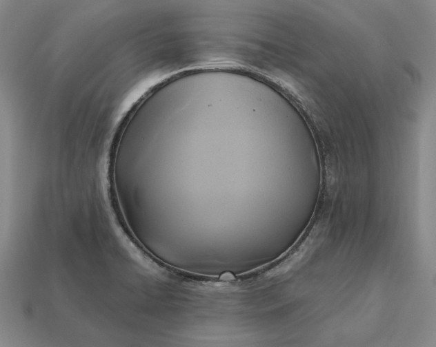 X0000113141422200909181720