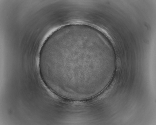 X0000113141424200909181720