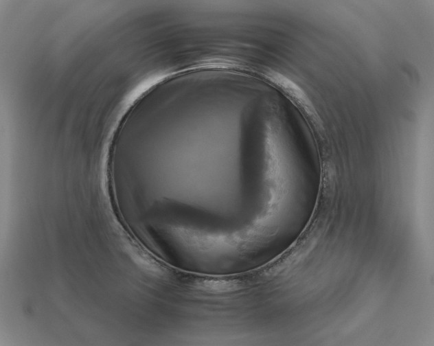 X0000113141427200909181720