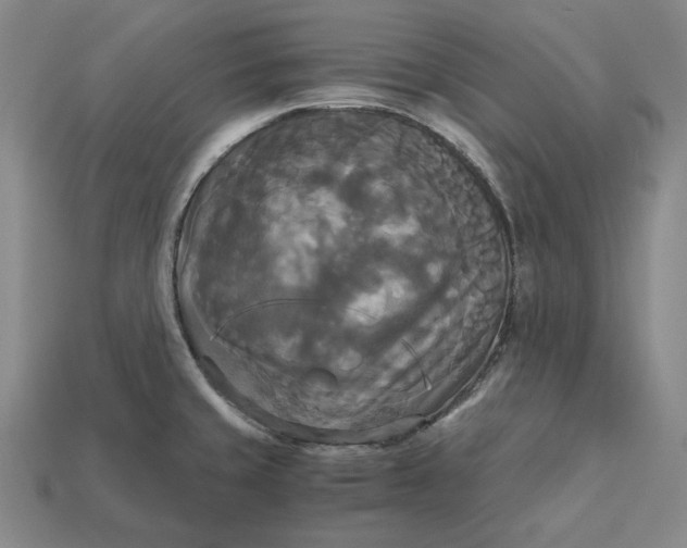 X0000113141429200909181720