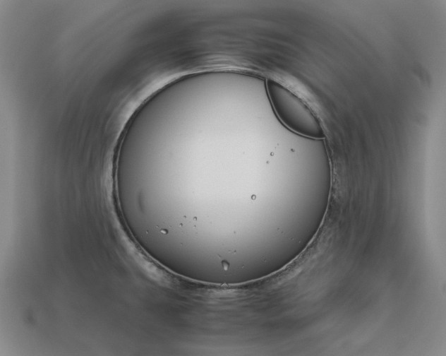 X0000113141431200909181720