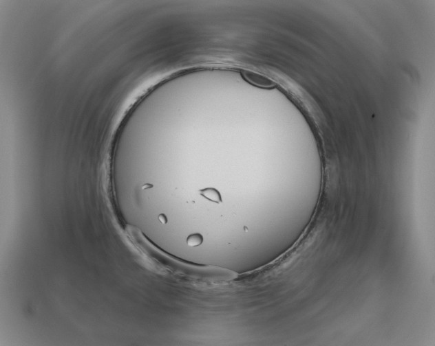 X0000113141432200909181720