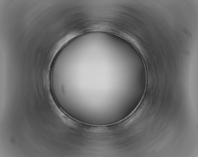 X0000113141434200909181720