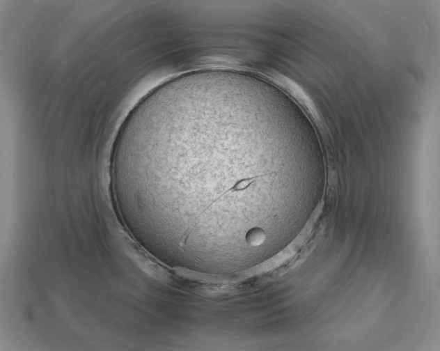 X0000113141435200909181720