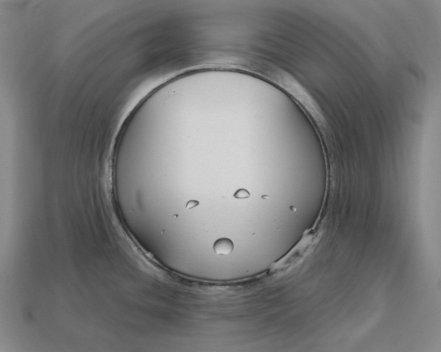 X0000113141436200909181720